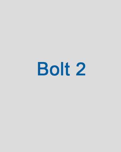 bolt 2